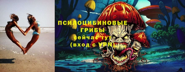 гашик Белоозёрский