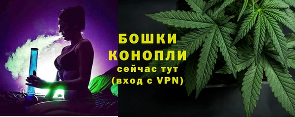 гашик Белоозёрский