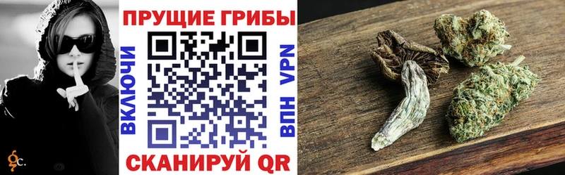 как найти закладки  Батайск  Псилоцибиновые грибы Magic Shrooms 
